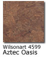 Aztec Oasis