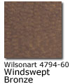 Windswept Bronze