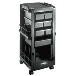Kayline Salon Rollabouts and Roller Carts