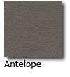 Antelope