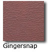 Gingersnap