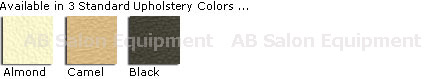 Touch America Upholstery Colors