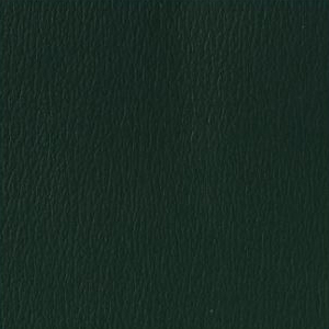 LEN14 Pine Green
