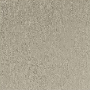 LEN19 Soft Ash Gray