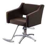 Takara Belmont Luxis Salon Chairs