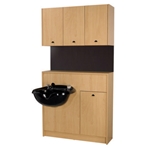 Wall Mount Shampoo Cabinets