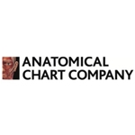 Anatomical Chart Company