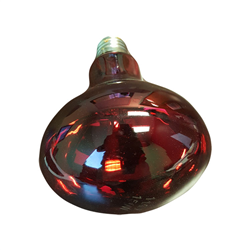 Salon Equipment Pros SEP-12001BLB Bulb Replacement for 5 Headed Heat Lamp