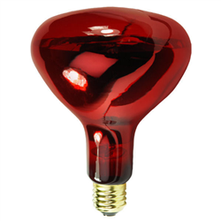 Pibbs LA250 Bulb for Heat Lamp