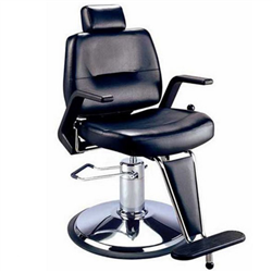 Salon Equipment Pros SEP-1511 Stannis All Purpose Chair