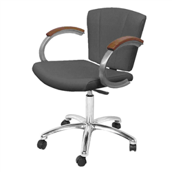 Collins QSE 9741 Vanelle SA Task Chair w/ Casters & Gas Lift