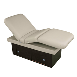 Shop for Massage Tables by Touch America 14550 Sanya Power Tilt Spa Table