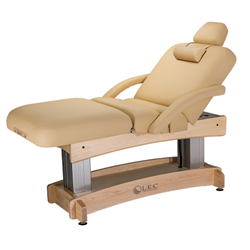 Living Earth Crafts Aspen Salon Top Electric Spa Table