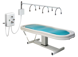 Shop for Massage Tables by Touch America 82005 Battery Neptune w/ Standard Vichy Shower