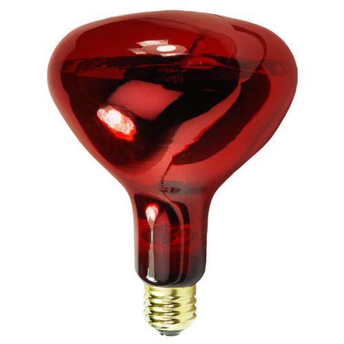 Heat Lamps for Salons are on sale today Heat Lamps for Salons are on sale today