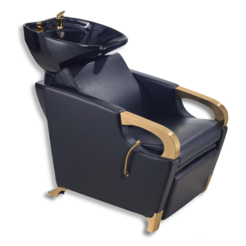 AYC Aurum Luxe Backwash Unit