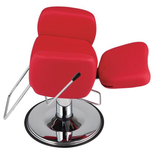 Takara Belmont AP-U31 Bellus All Purpose Chair w/ B1A Base