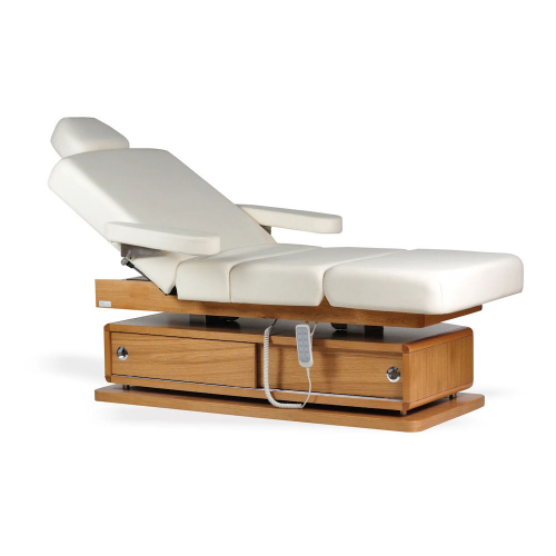 Shop for Massage Tables by Touch America 14600 AIDA Fully Motorized Treatment Table - SALE