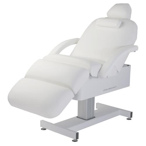 Living Earth Crafts Cloud 9 Spa Treatment Table