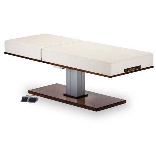 Living Earth Crafts Pedestal PowerAssist Facial Back Tilt Electric Lift Table