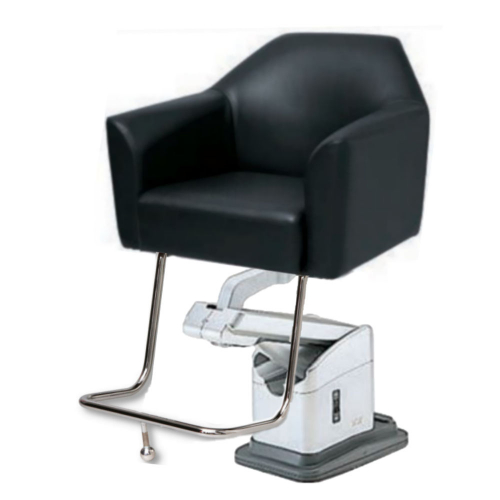 Takara Belmont ST-N20 Facet Hair Styling Salon Chair w/ CHDN Electric Base