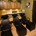 Salon Interior Design by AB Salon Equipment - International Hair Gallery